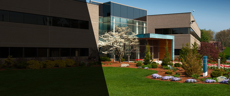 Bainbridge Landscapers