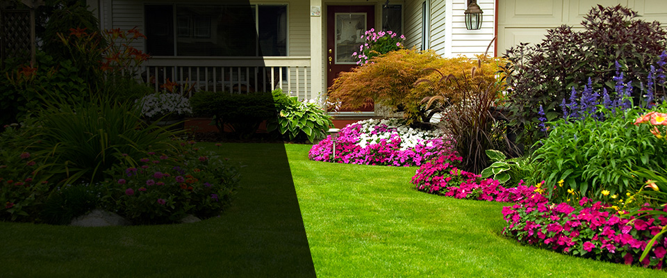 Bainbridge Landscapers