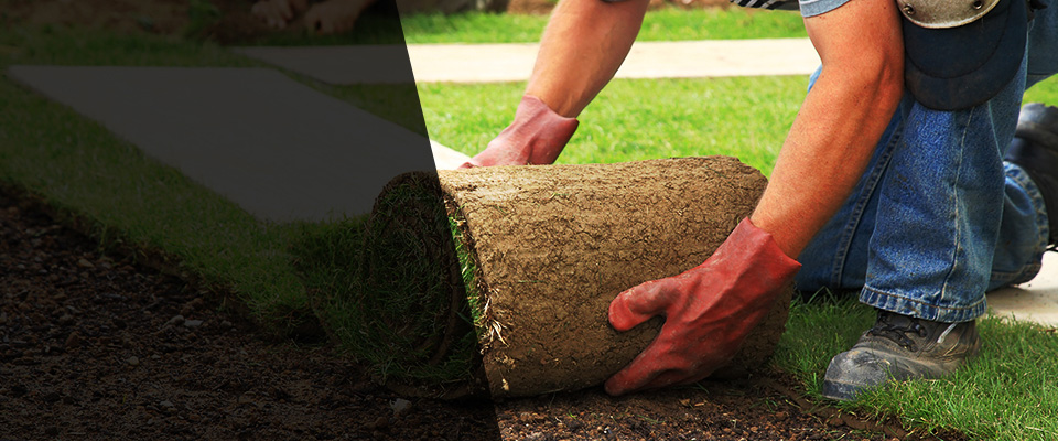 Bainbridge Landscapers